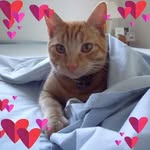 Maryann Maxwell - @maryann.maxwell.14 - Instagram