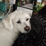 Maryanne Maxwell - Facebook