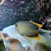 Maryann McDowell - @maryann.mcdowell - TikTok