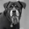 Maryanne McDowell - @maryanne.mcdowell - TikTok