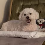 Mary Ann Marabeti-Motto - @maryannmarabetimottofl364 - Instagram