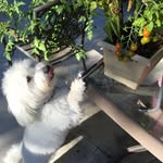 MaryAnn Lee (Potter) - @maryann_lee2 - Instagram