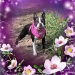 Maryann Potter - @maryann.potter.52 - Instagram