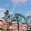 Mary anne 🥨 - @maryanne.powers - TikTok