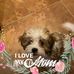Maryann Powers - Facebook