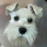 MaryAnn Rader - @maryrader1949 - Instagram