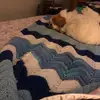 Mary Ann Roeder - @maryannroeder - TikTok