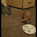 Maryann Roe - Facebook