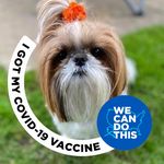 Mary Ann Shawcross - @maryannshawcross - Instagram