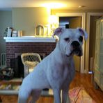 Maryann Springer Peterson Proctor - Facebook
