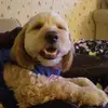 maryannsteiner - @maryannsteiner - TikTok