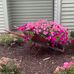 Mary Ann Stone - Facebook