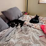 Maryann Stone - @maryannstone3 - Instagram