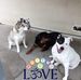 Maryann Stone - Facebook