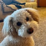 Maryann turner - @maryann.t - Instagram