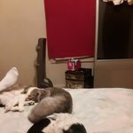 Mary Ann Tuttle - @maryann.tuttle.94 - Instagram