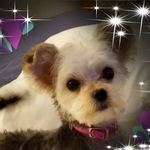 Mary Ann Tuttle Woods - @maryanntuttlewoods - Instagram