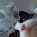 Maryann Tuttle - Facebook