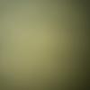 maryann.tuttle - @maryann.tuttle - TikTok