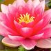 Maryann Winter - Facebook
