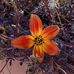 Maryanne Boyd - Facebook