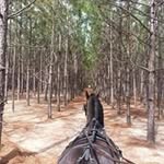 Maryanne Boyden - @maryanneboyden - Instagram