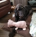 MaryAnne Brown - Facebook