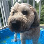 Maryanne Davidson - @maryanne.davidson.90 - Instagram