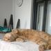 Maryanne Egan - Facebook