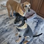 MaryAnne Bender Steinberg - @maryannesteinberg - Instagram