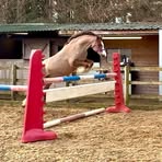Maryanne Thomas - Facebook