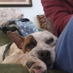 Maryanne Thomas - Facebook