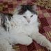 Marybeth Adams - Facebook