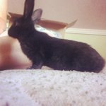 Marybeth Allen - @mundepilo - Instagram