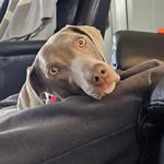 MaryBeth Brown - @killdeersrest27235 - Instagram