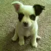 Marybeth Brown - @marybeth.brown7 - TikTok