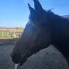 MaryBeth Brown - @marybeth.brown2 - TikTok