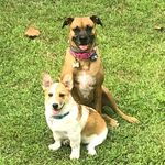 Mary Beth Carroll - @marybeth_carroll04 - Instagram