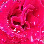 marybeth - @marybethdunn1645 - Instagram