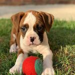 MaryBeth Dunn - @marybeth.dunn - Instagram