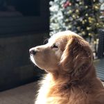 Marybeth Laskey - @mb_laskey - Instagram