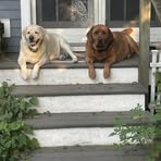MaryBeth Leonard Smith - Facebook