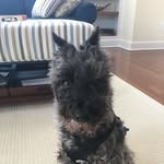 Marybeth Murphy - @marybeth2171 - Instagram