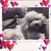 Marybeth Murray - Facebook