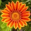 marybethmurray116 - @marybethmurray116 - TikTok