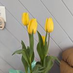 Marybeth Wolan Nelson - @mimi_is_me1 - Instagram