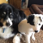 Marybeth Jakubowski Sharp - @sharp.marybeth - Instagram