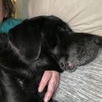 Marybeth Sutton - Facebook