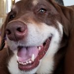 MaryBeth Thomas - @marybeth.thomas.10 - Instagram