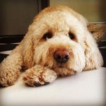 Marybeth Tracy - @tracymbt - Instagram